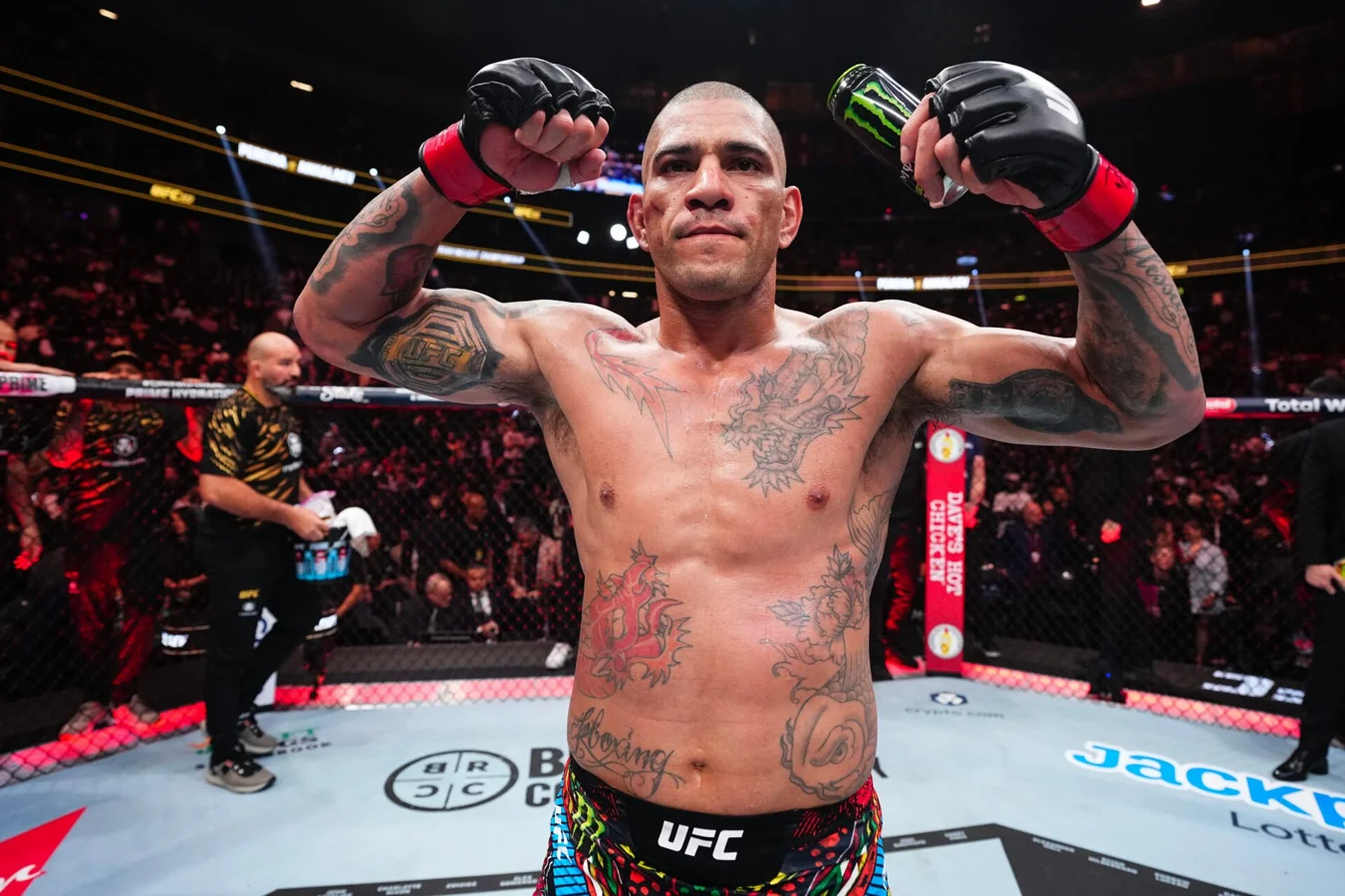 image-of-alex-pereira-26-06-2025 Alex Pereira