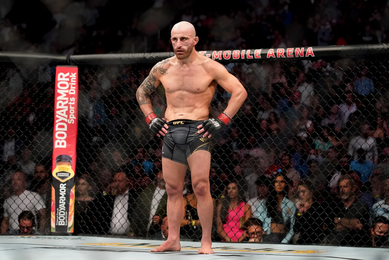 Alexander Volkanovski