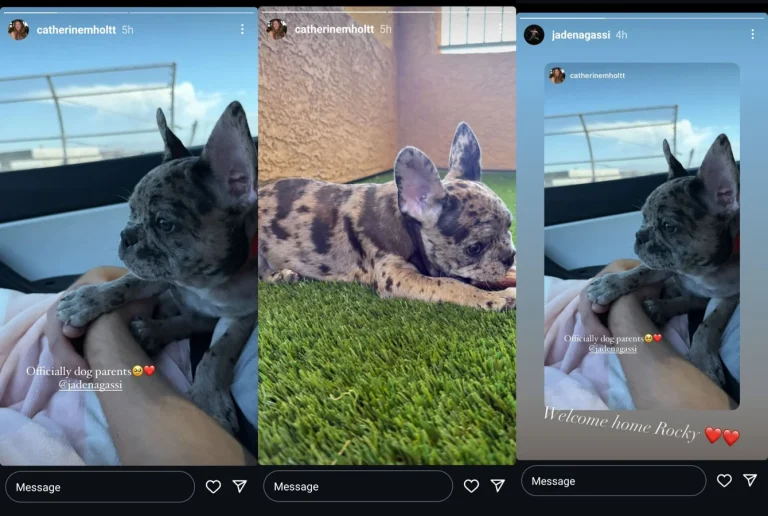 Andre Agassi and Steffi Graf children with pets