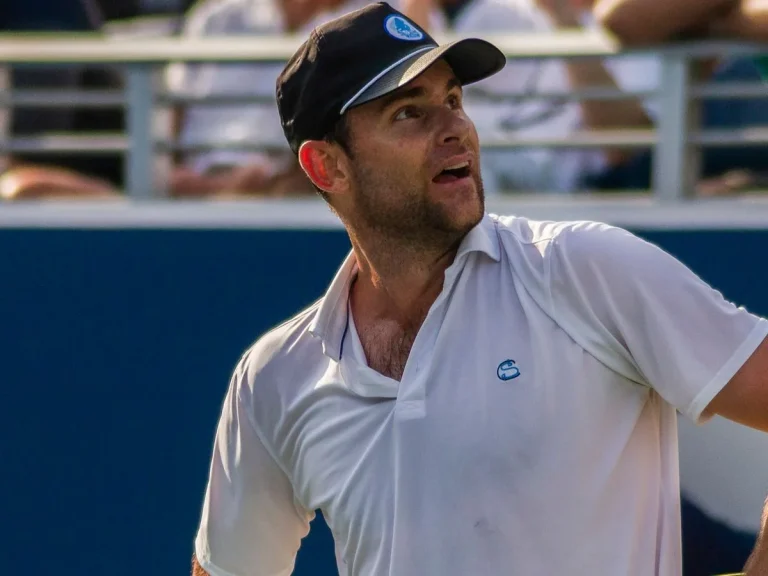 Andy Roddick US Open Controversy