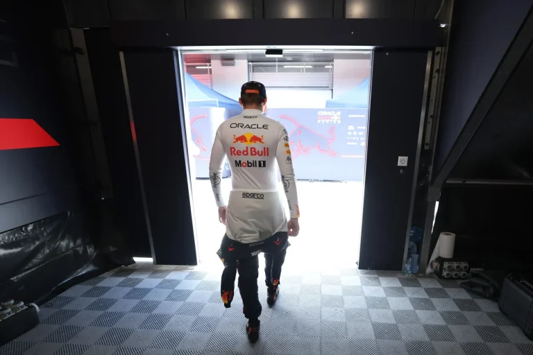 Max Verstappen red carpet dislike