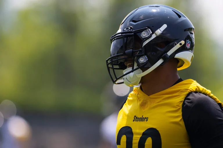 Minkah Fitzpatrick perfecting Steelers defense