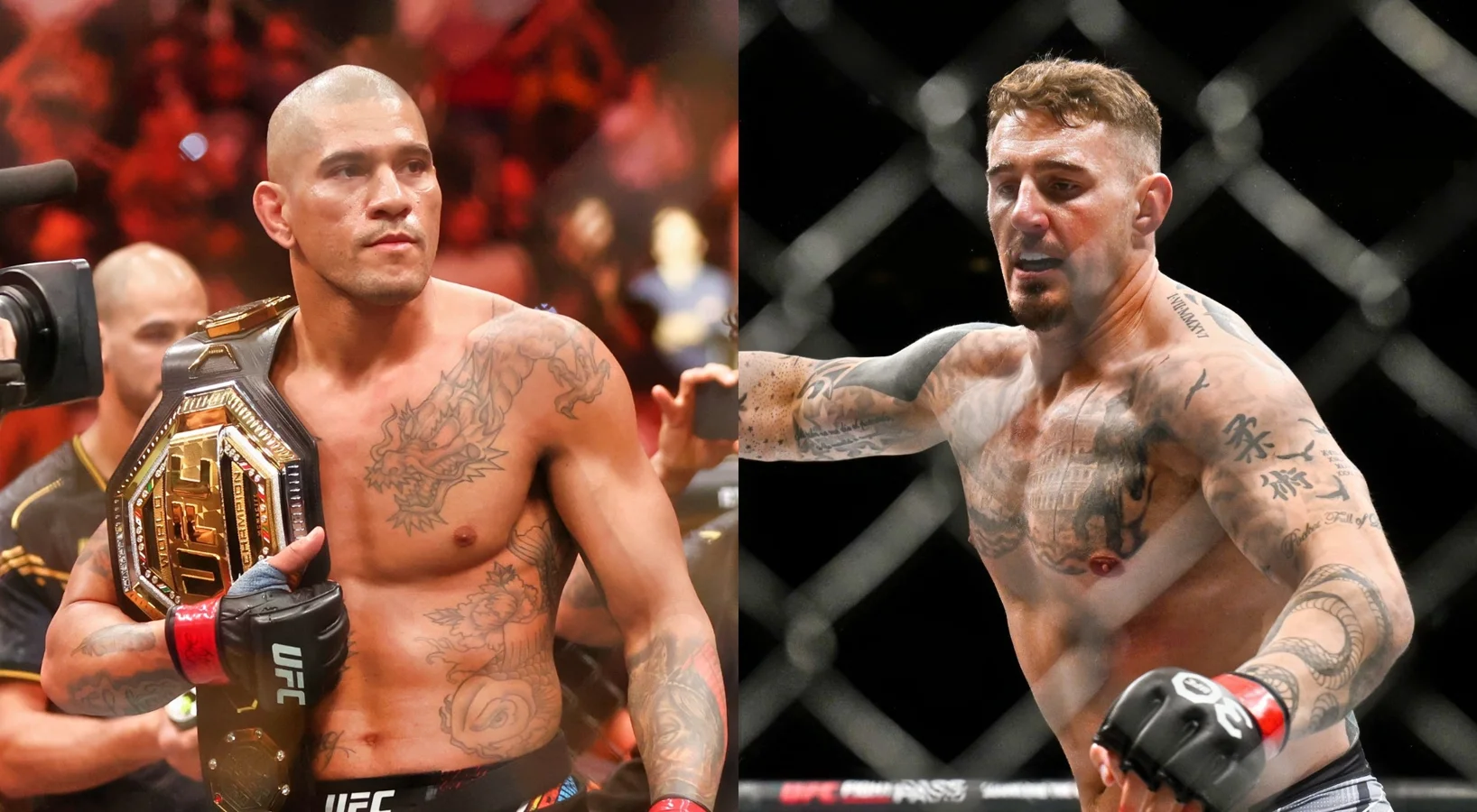 image-of-alex-pereira-03-07-2025 Alex Pereira