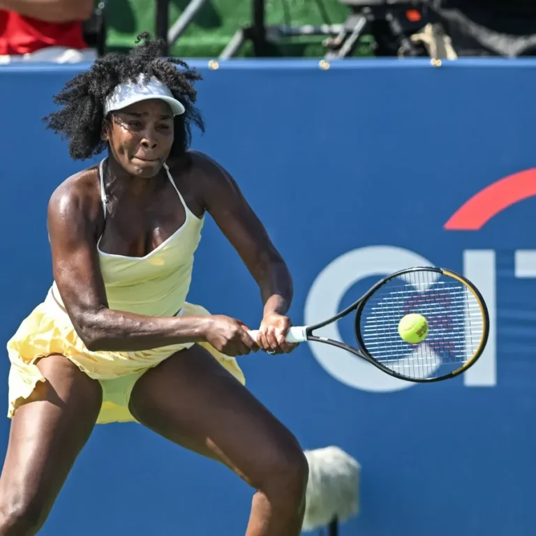 Andy Roddick future tennis predictions