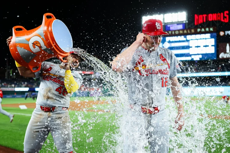 Erick Fedde White Sox trade