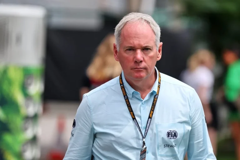 F1 steward challenges FIA president