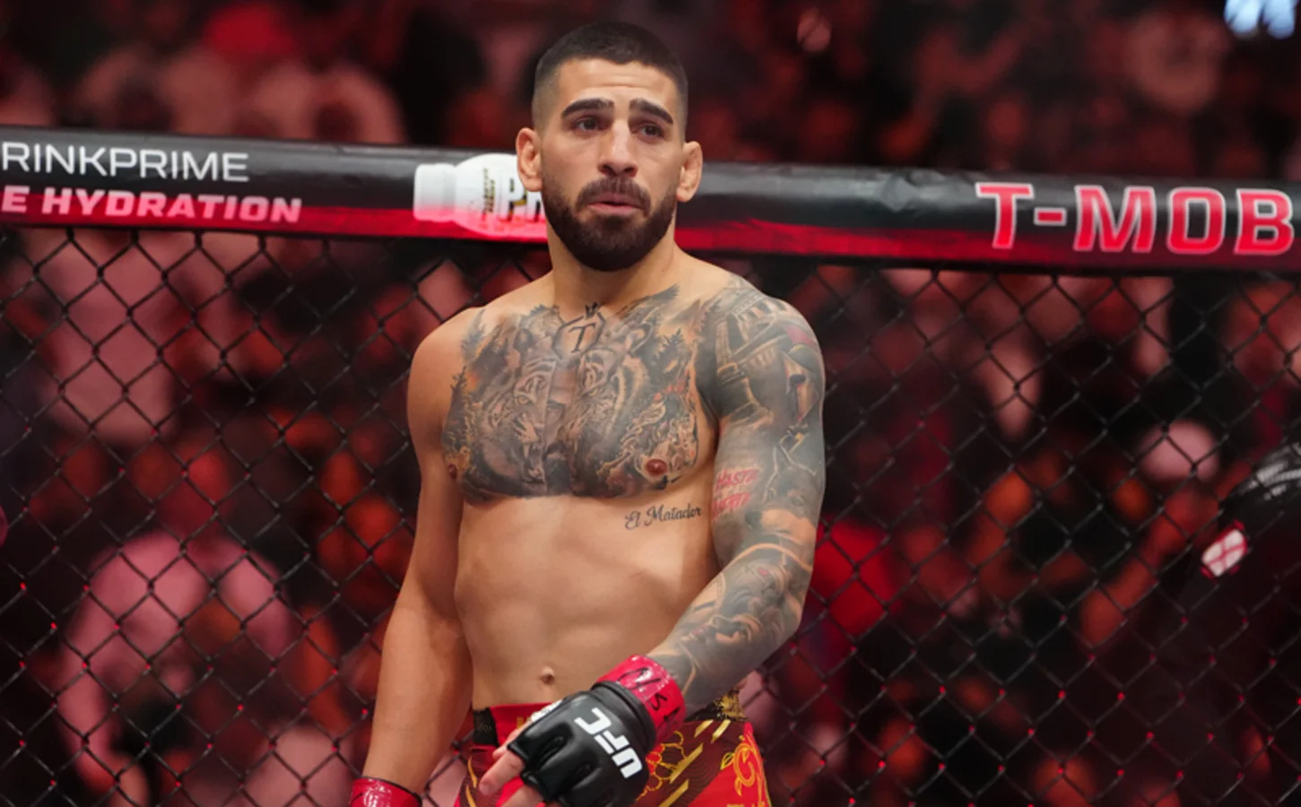 Ilia Topuria UFC meme trolling Ilia Topuria UFC meme trolling