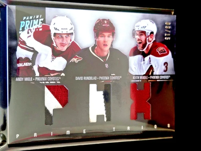 JT Miller vs Anthony Mantha fight