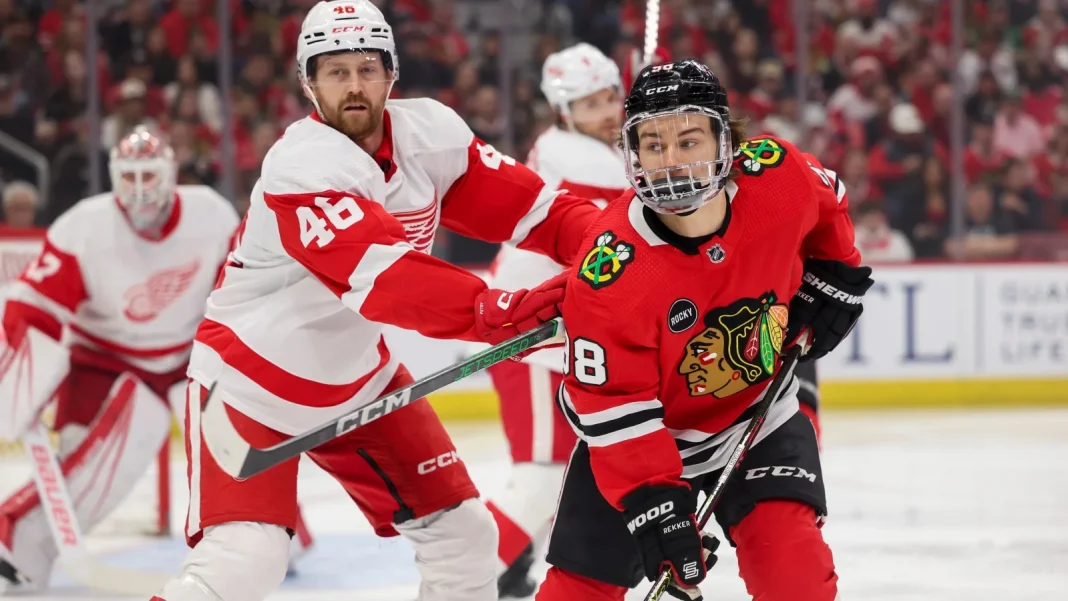 Jeff Petry veteran Panthers signing Jeff Petry veteran Panthers signing