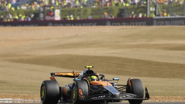 Lando Norris Silverstone dedicated stand