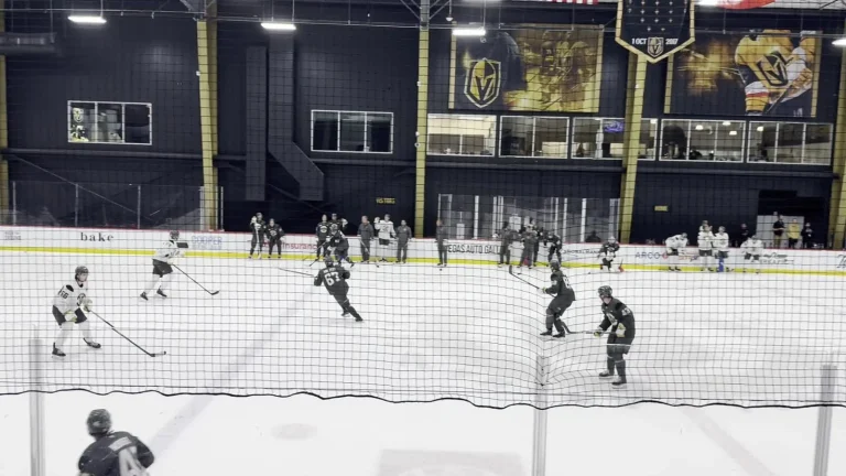 Mitch Marner Vegas transition impact