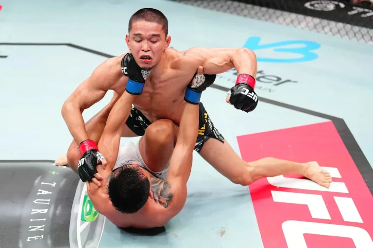 Reinier de Ridder UFC highlights