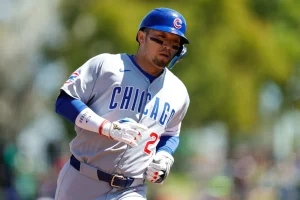 Seiya Suzuki’s 2025 Cubs Season: Heroic Highlights and Surprising Slumps Revealed