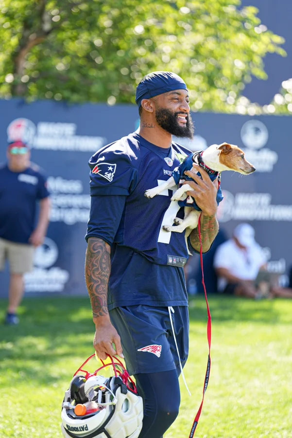 Stefon Diggs Patriots Training Camp