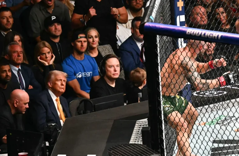 UFC White House Fight 2026