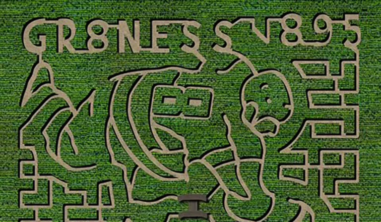 Alex Ovechkin tax account blocked