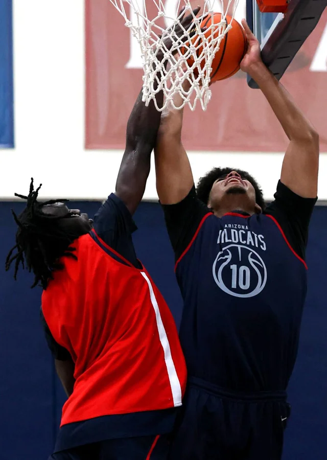 Bryce James Arizona Wildcats basketball