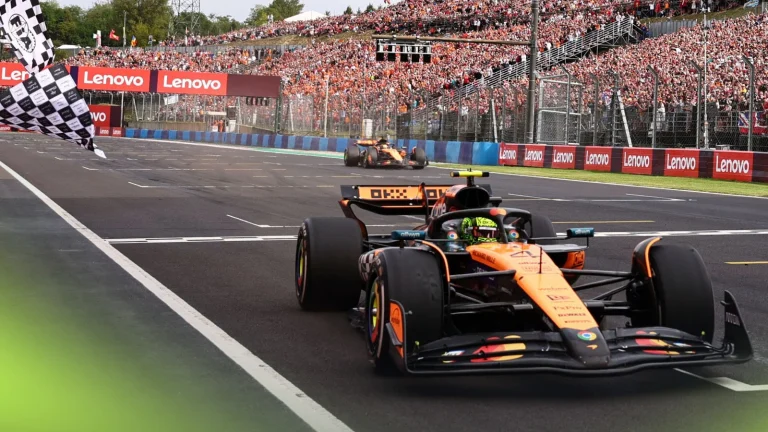 Lando Norris FIA ruling Hungarian Grand Prix