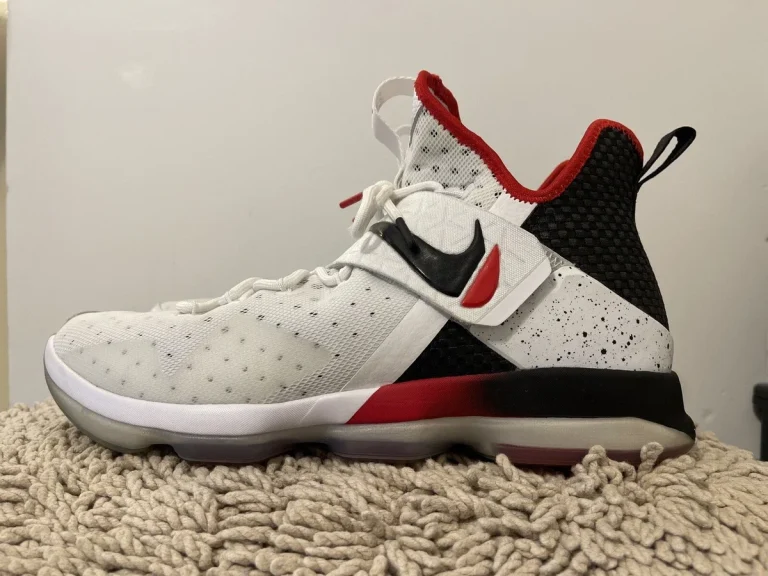 LeBron James Nike sneaker switch