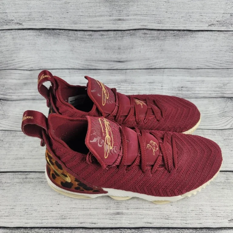 LeBron James stem cell treatment