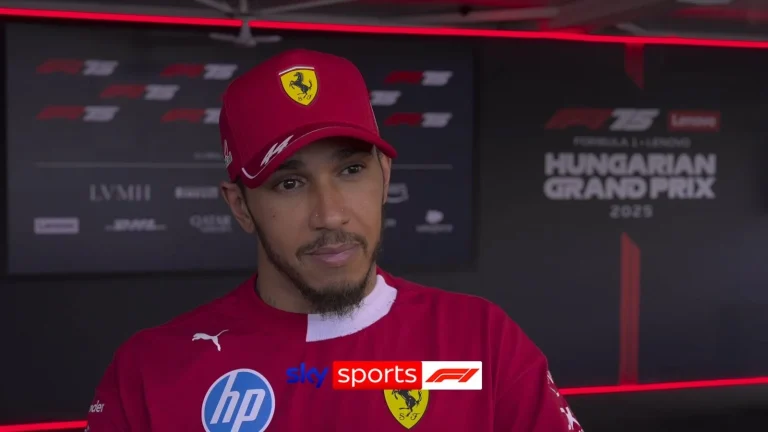Lewis Hamilton Hungarian GP struggles