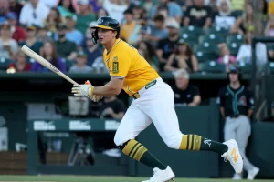 Chael Sonnen: Merab Dvalishvili Is a Star but Faces Tough Race for 2025 Fighter of the Year Award