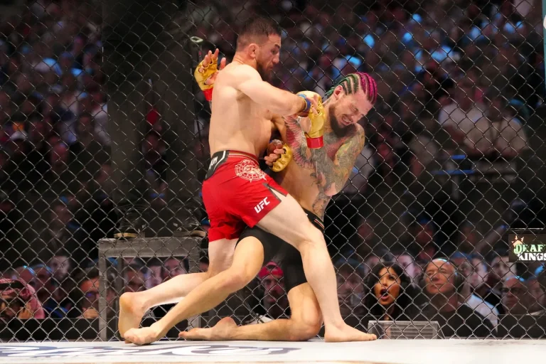 Merab Dvalishvili UFC fight