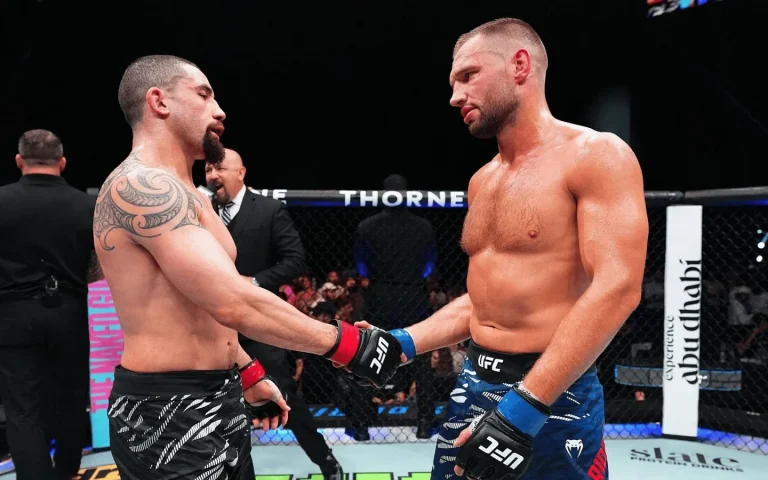 Reinier de Ridder UFC fight opinion