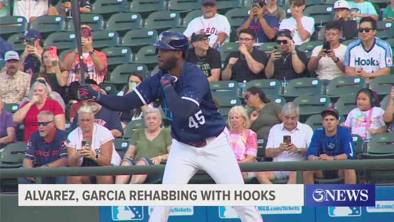 Yordan Alvarez rehab performance hopes